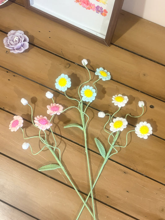 Daisy Style B