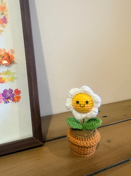 Smile Daisy Pot