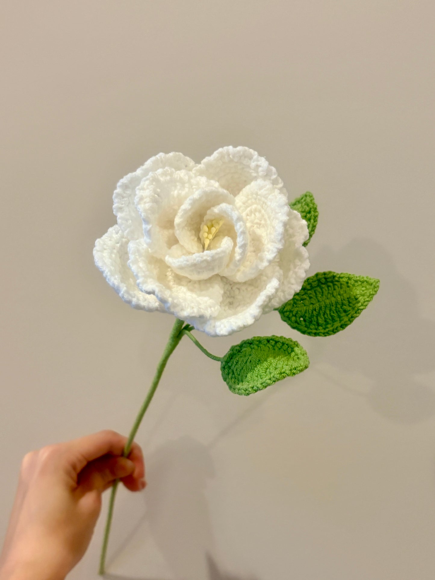French Rose
