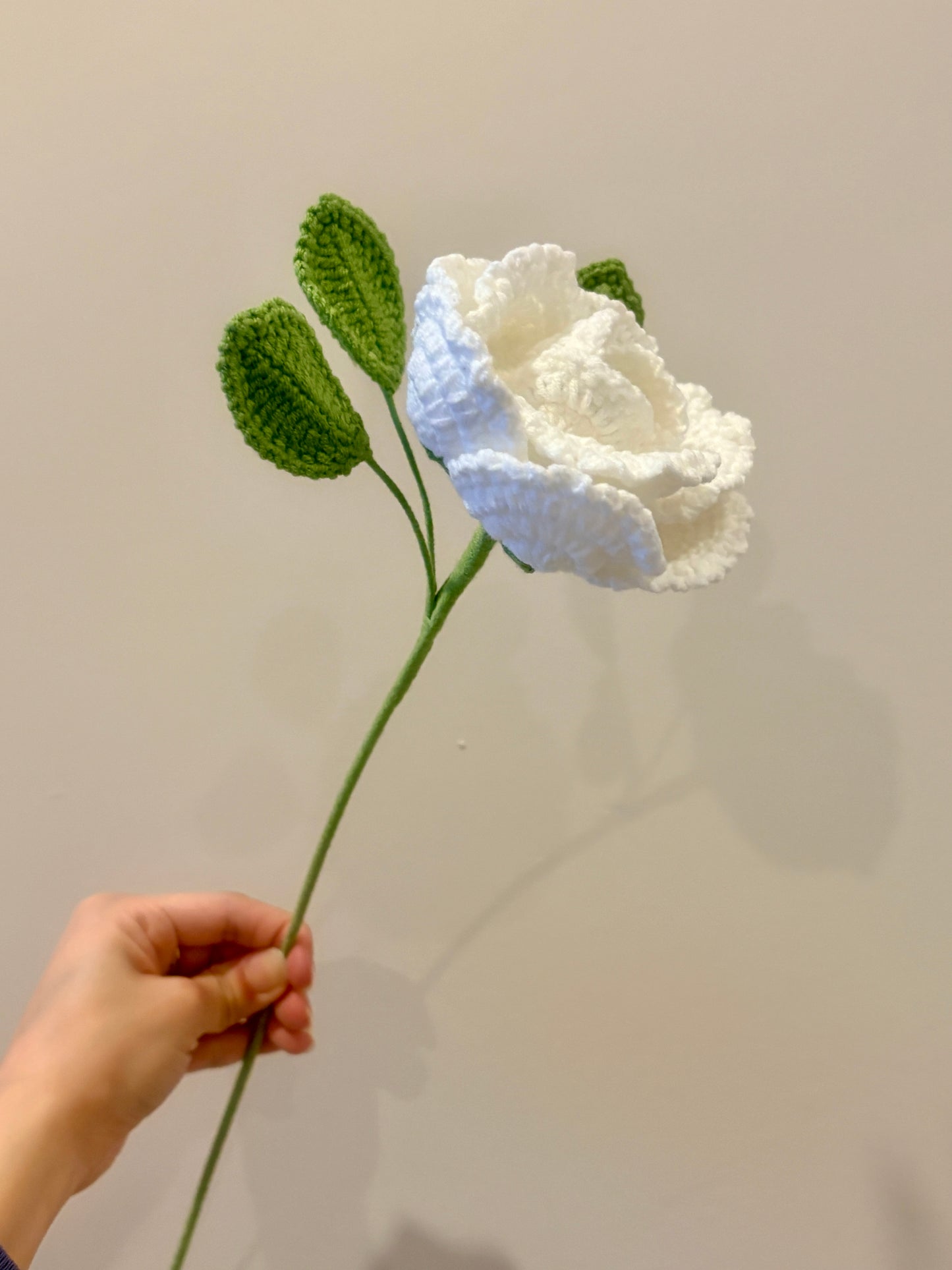 French Rose