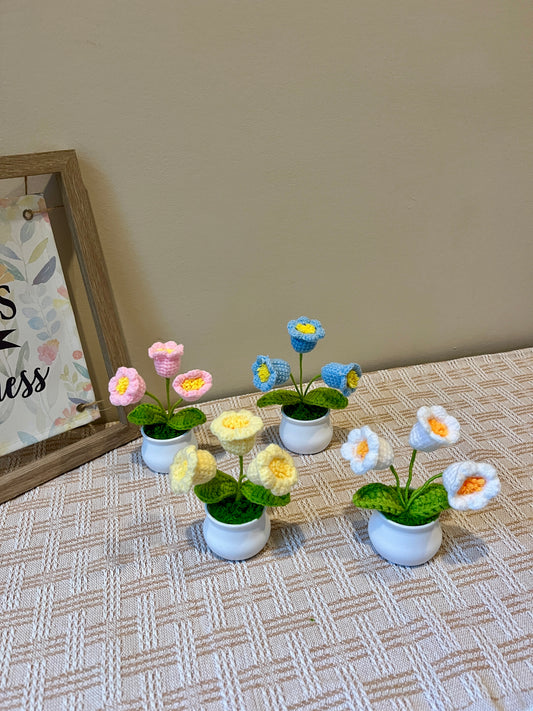 Lilly of the Valley Pot