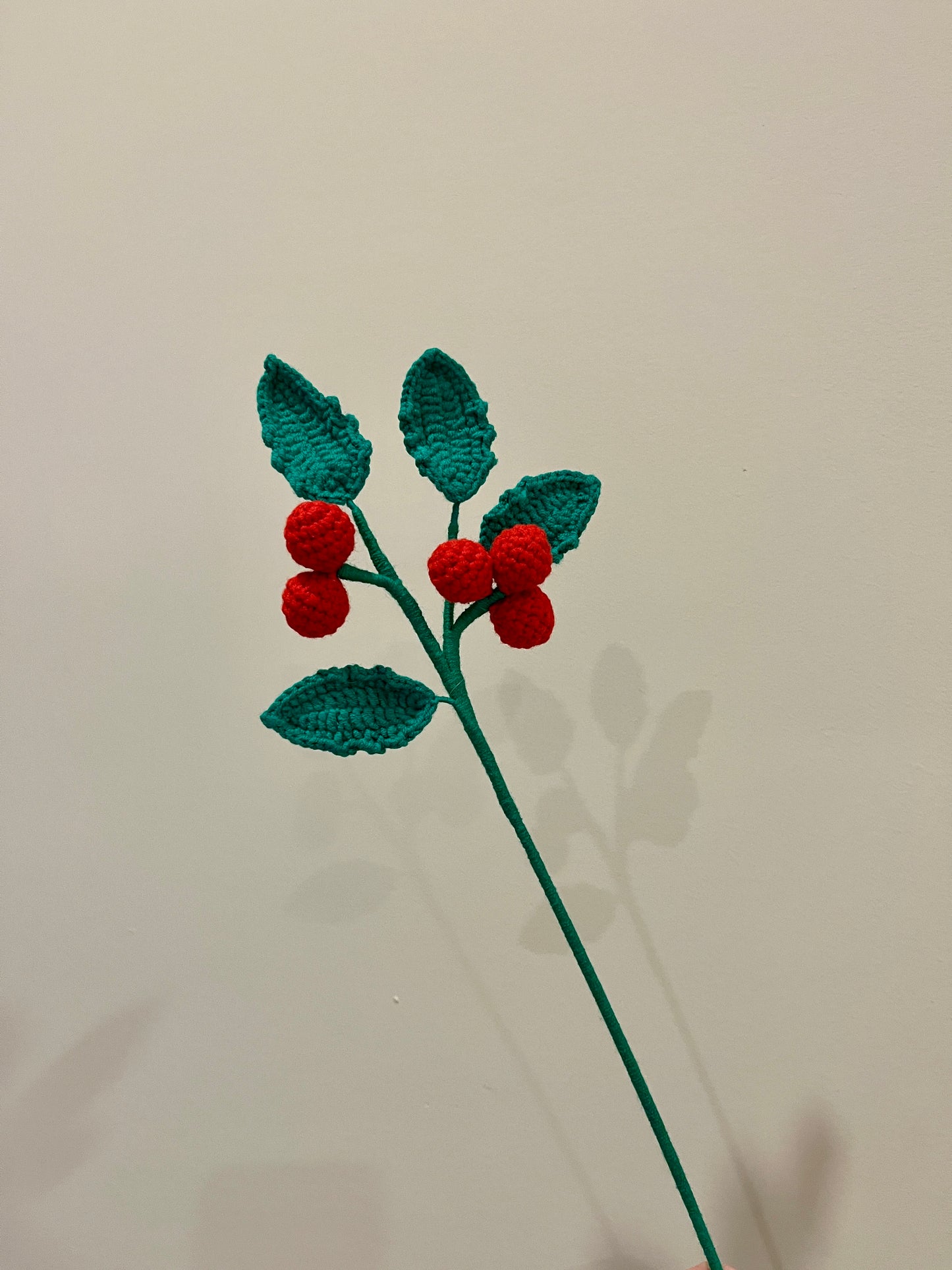 Holly
